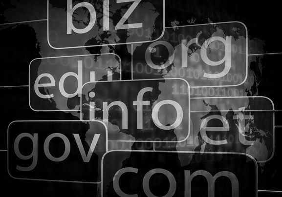 Services - Domain Names & Web Hosting